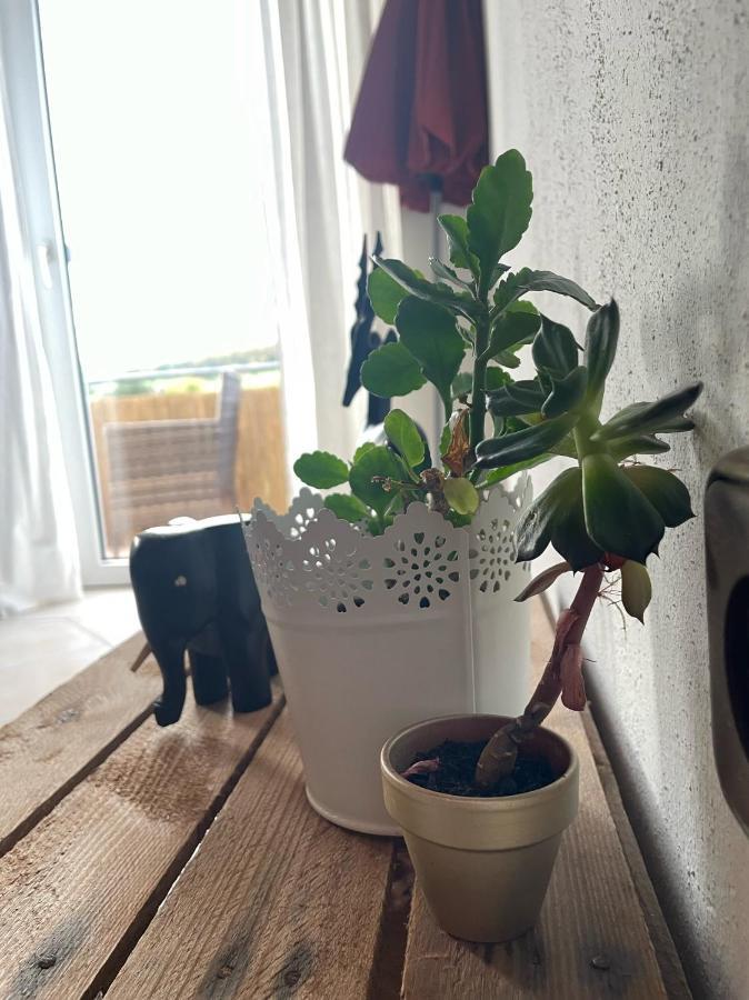 Schoene Wohnung In Ruhiger Laendlicher Lage Heidenheim  外观 照片